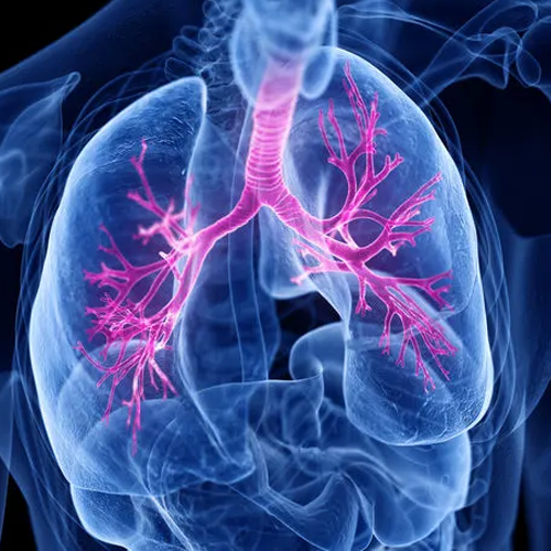 Enfermedades respiratorias